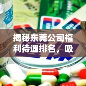 揭秘东莞公司福利待遇排名，吸引你的目光！