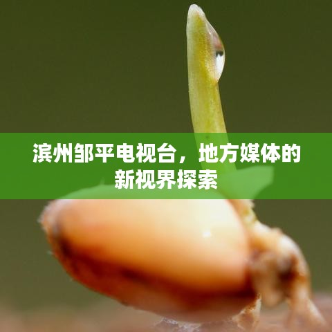 滨州邹平电视台，地方媒体的新视界探索
