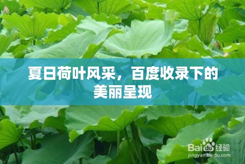 新闻资讯 第19页