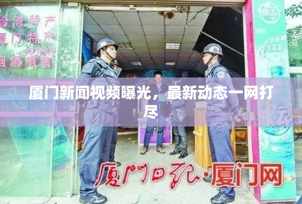 厦门新闻视频曝光，最新动态一网打尽