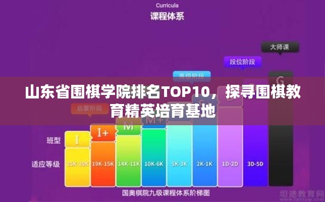 山东省围棋学院排名TOP10，探寻围棋教育精英培育基地