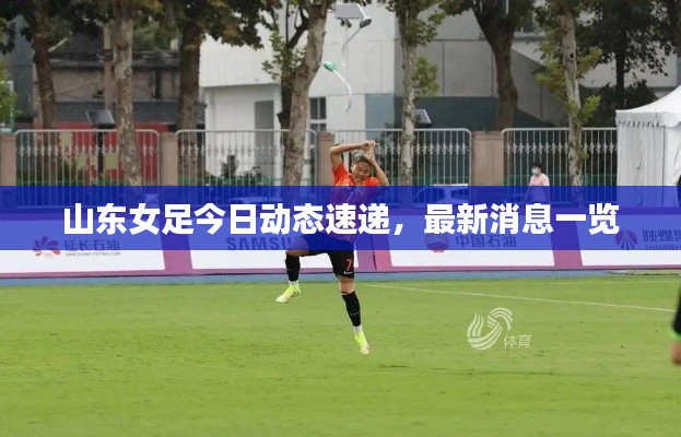 披肝沥胆