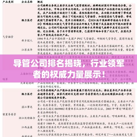 导管公司排名揭晓，行业领军者的权威力量展示！