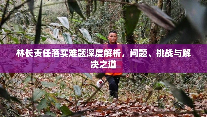 林长责任落实难题深度解析，问题、挑战与解决之道