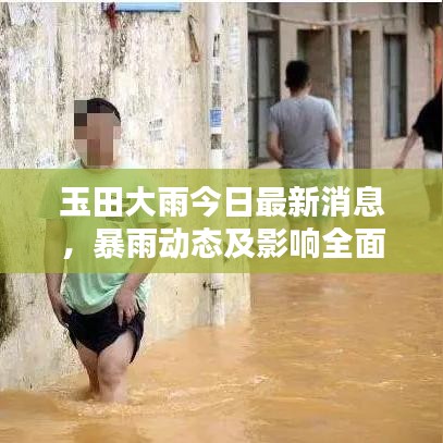 玉田大雨今日最新消息，暴雨动态及影响全面解析