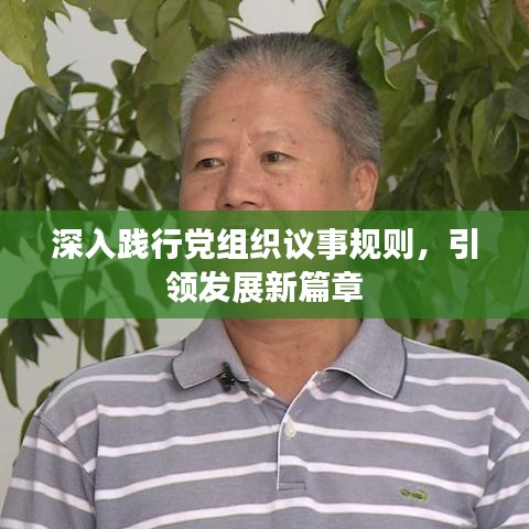 深入践行党组织议事规则，引领发展新篇章