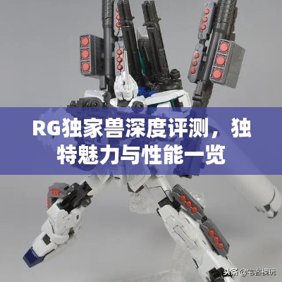 RG独家兽深度评测，独特魅力与性能一览