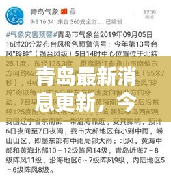 青岛最新消息更新，今日新闻一览