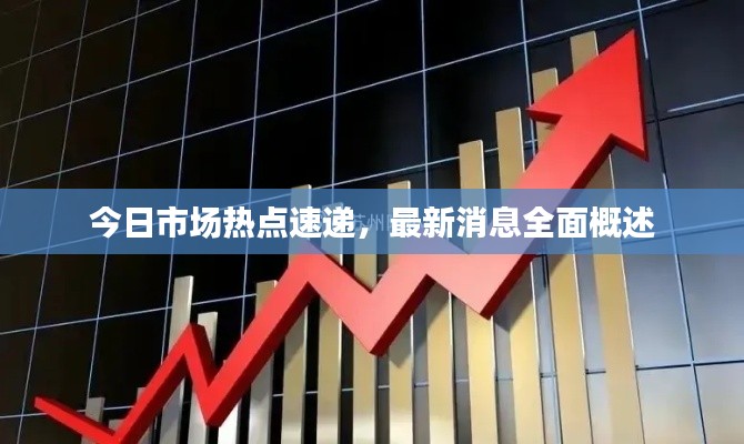 今日市场热点速递，最新消息全面概述