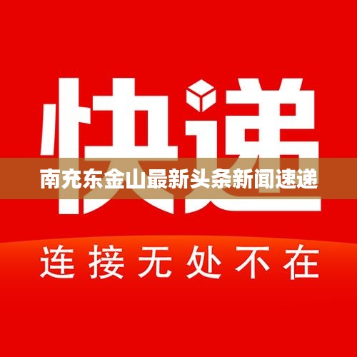 南充东金山最新头条新闻速递