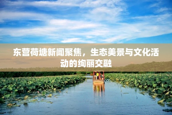 东营荷塘新闻聚焦，生态美景与文化活动的绚丽交融