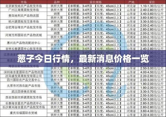 葱子今日行情，最新消息价格一览