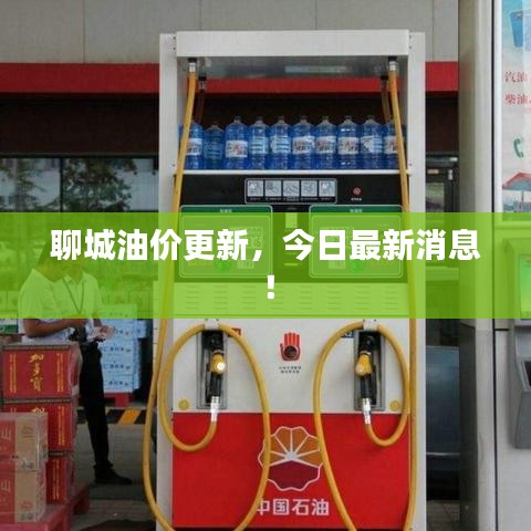 聊城油价更新，今日最新消息！