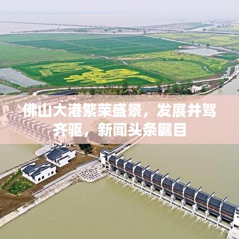 佛山大港繁荣盛景，发展并驾齐驱，新闻头条瞩目
