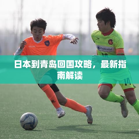 日本到青岛回国攻略，最新指南解读