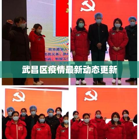 武昌区疫情最新动态更新