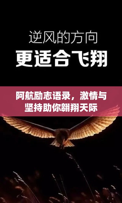 阿航励志语录，激情与坚持助你翱翔天际