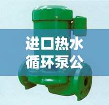 进口热水循环泵公司排行榜及行业影响力解析