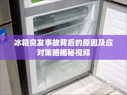 冰箱突发事故背后的原因及应对策略揭秘视频