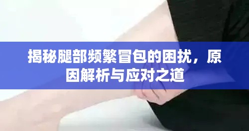 揭秘腿部频繁冒包的困扰，原因解析与应对之道