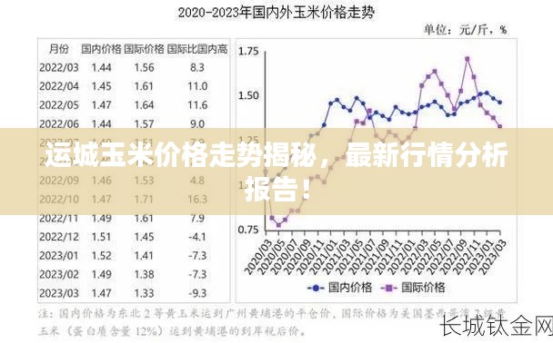 运城玉米价格走势揭秘，最新行情分析报告！