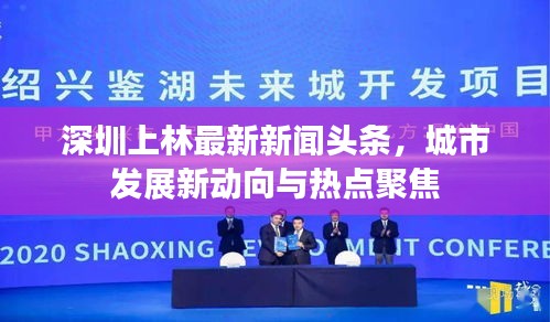 深圳上林最新新闻头条，城市发展新动向与热点聚焦