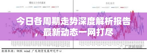 今日各周期走势深度解析报告，最新动态一网打尽