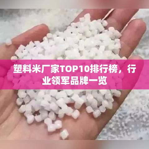 塑料米厂家TOP10排行榜，行业领军品牌一览