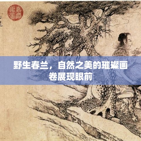不飞则已