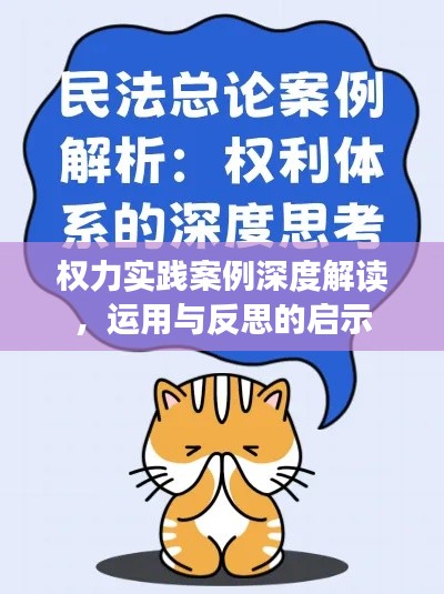权力实践案例深度解读，运用与反思的启示