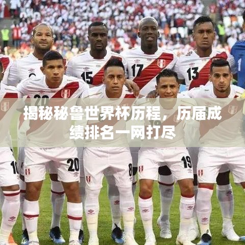 联系我们 第17页
