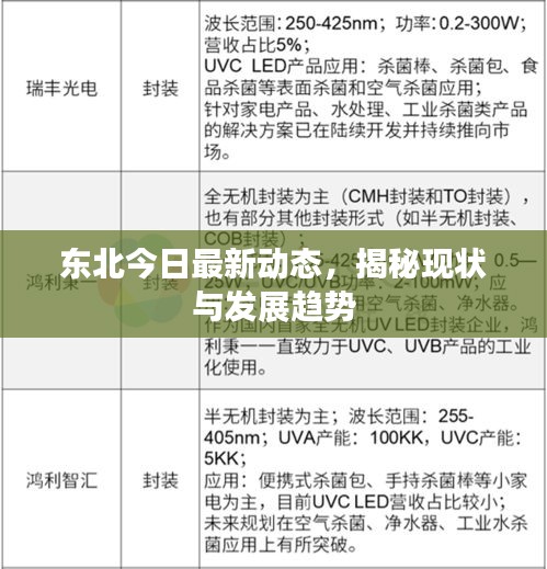 无独有偶