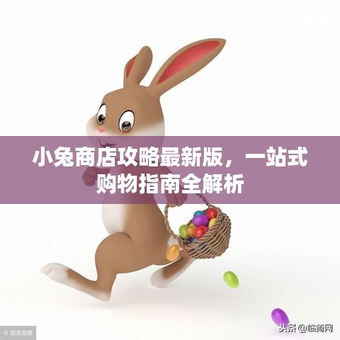 小兔商店攻略最新版，一站式购物指南全解析