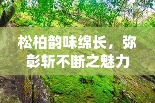 朝飞暮卷