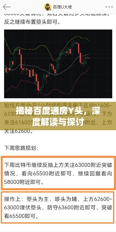 揭秘百度通房Y头，深度解读与探讨