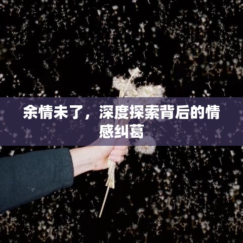 余情未了，深度探索背后的情感纠葛
