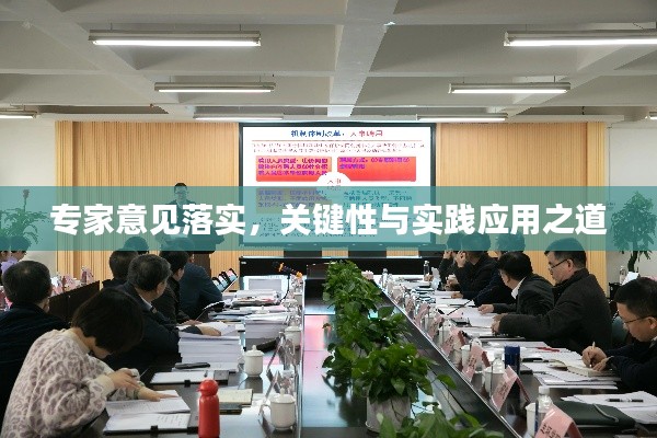 专家意见落实，关键性与实践应用之道