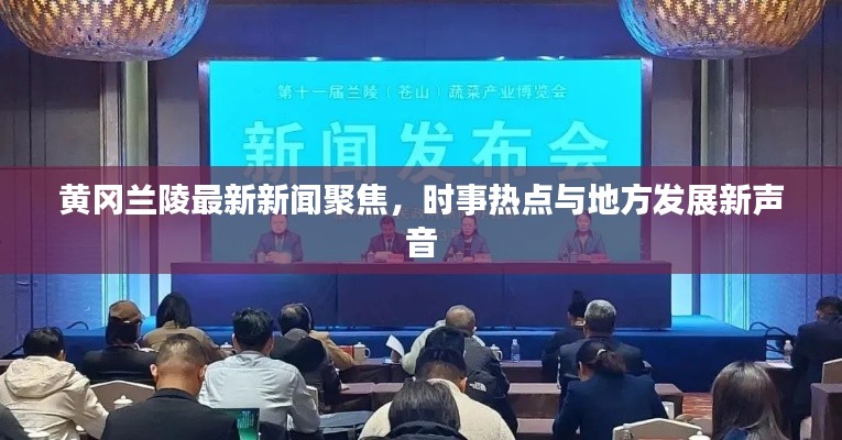 黄冈兰陵最新新闻聚焦，时事热点与地方发展新声音