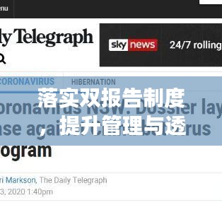 落实双报告制度，提升管理与透明度的关键所在