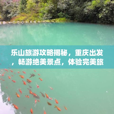 乐山旅游攻略揭秘，重庆出发，畅游绝美景点，体验完美旅程！