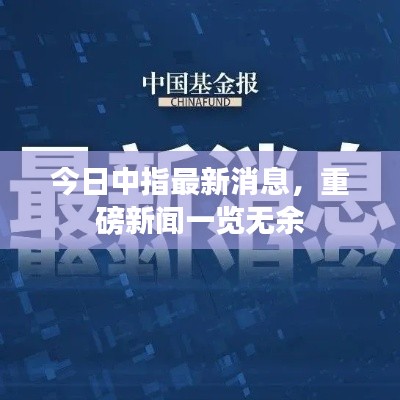 关于我们 第13页