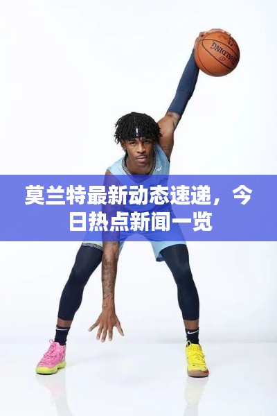 莫兰特最新动态速递，今日热点新闻一览