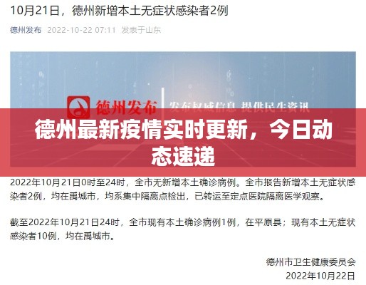 德州最新疫情实时更新，今日动态速递