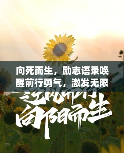 向死而生，励志语录唤醒前行勇气，激发无限潜能！