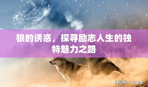 狼的诱惑，探寻励志人生的独特魅力之路