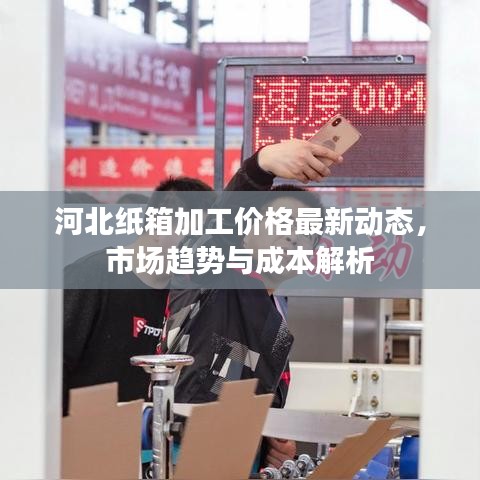 河北纸箱加工价格最新动态，市场趋势与成本解析