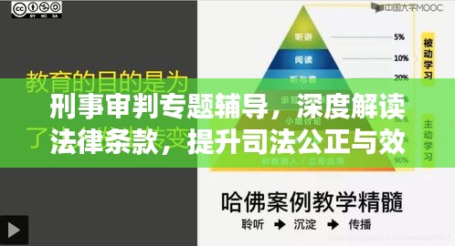 刑事审判专题辅导，深度解读法律条款，提升司法公正与效率