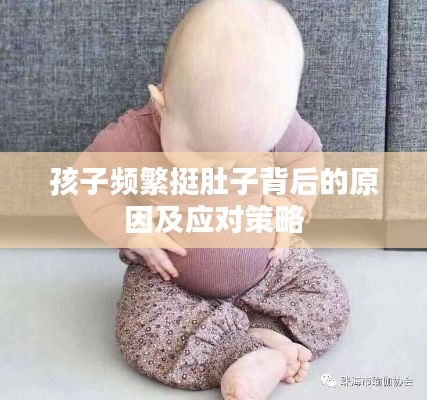 生张熟魏
