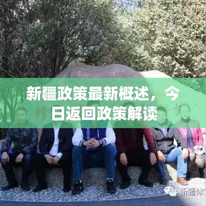 新疆政策最新概述，今日返回政策解读