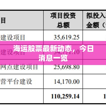 海运股票最新动态，今日消息一览